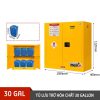 Tủ Lưu Trữ Hóa Chất 30 Gallon